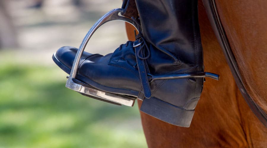 Why Do Show Jumpers Wear Spurs? – Equestrian Space