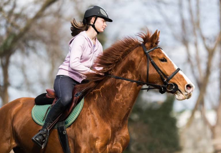 Can You Teach Yourself to Ride a Horse? Equestrian Space