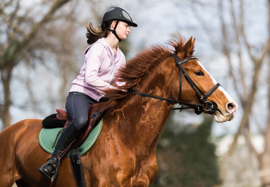 How To Teach Your Child To Ride A Horse