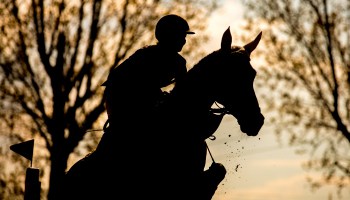 What age should you retire a horse from jumping