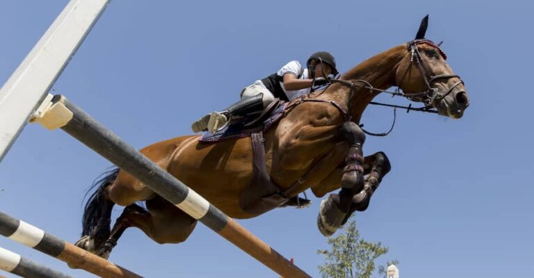 Horse and rider jumping over rails against a blue sky