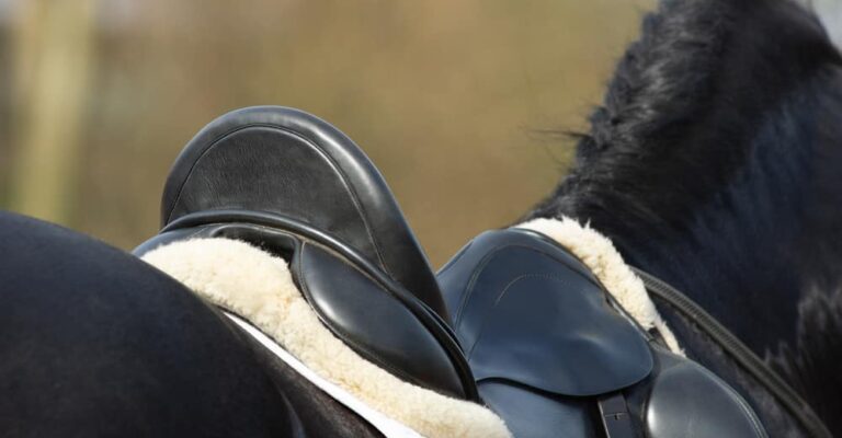 Close-up of a black dressage saddle with a sheepskin pad on a dark horse