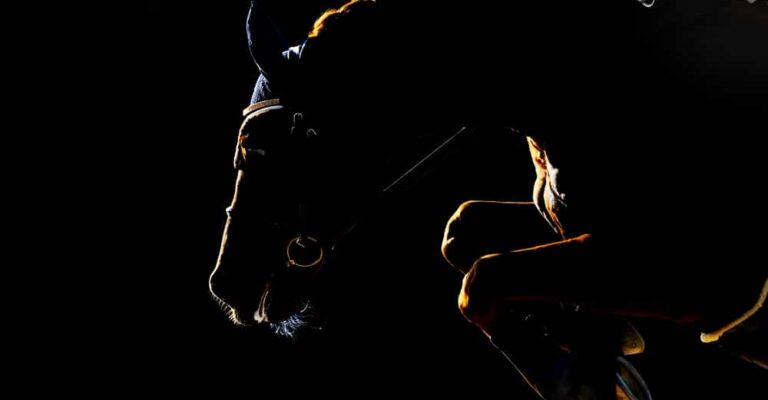 Dark horse and rider jumping in dramatic low light