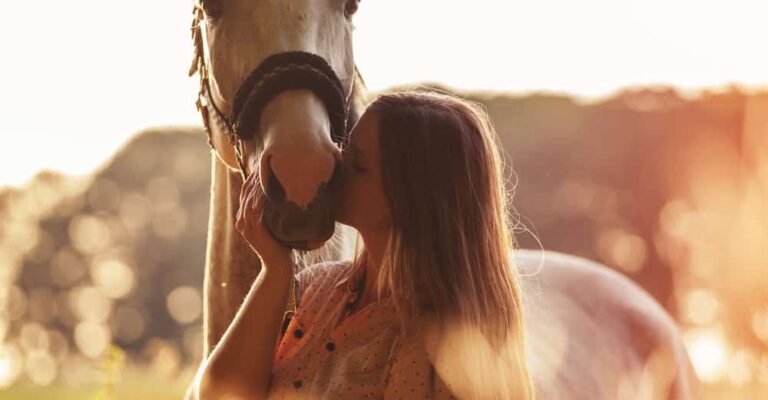 Horse gently nudging a person’s hand with its muzzle