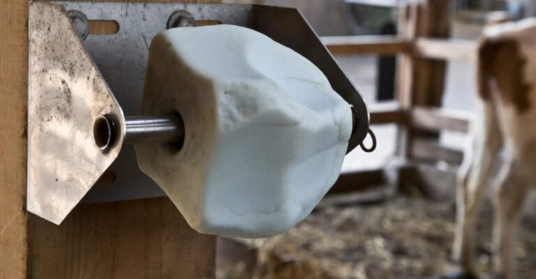 White mineral block mounted on a wooden stable wall