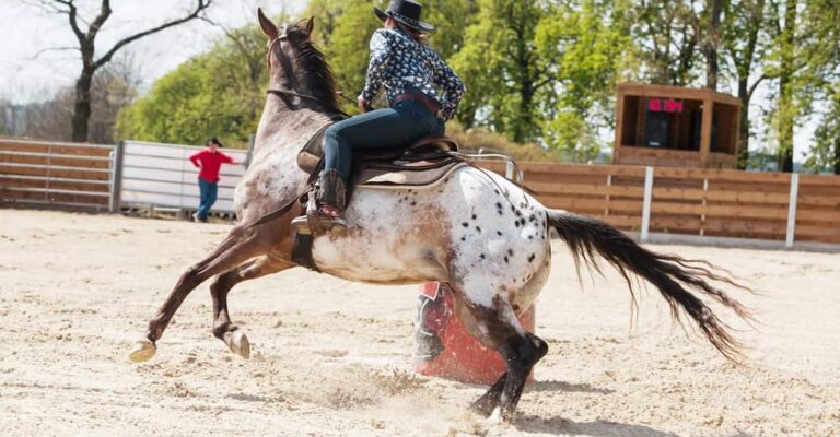 Arabian horse and rider competing in a barrel-racing pattern
