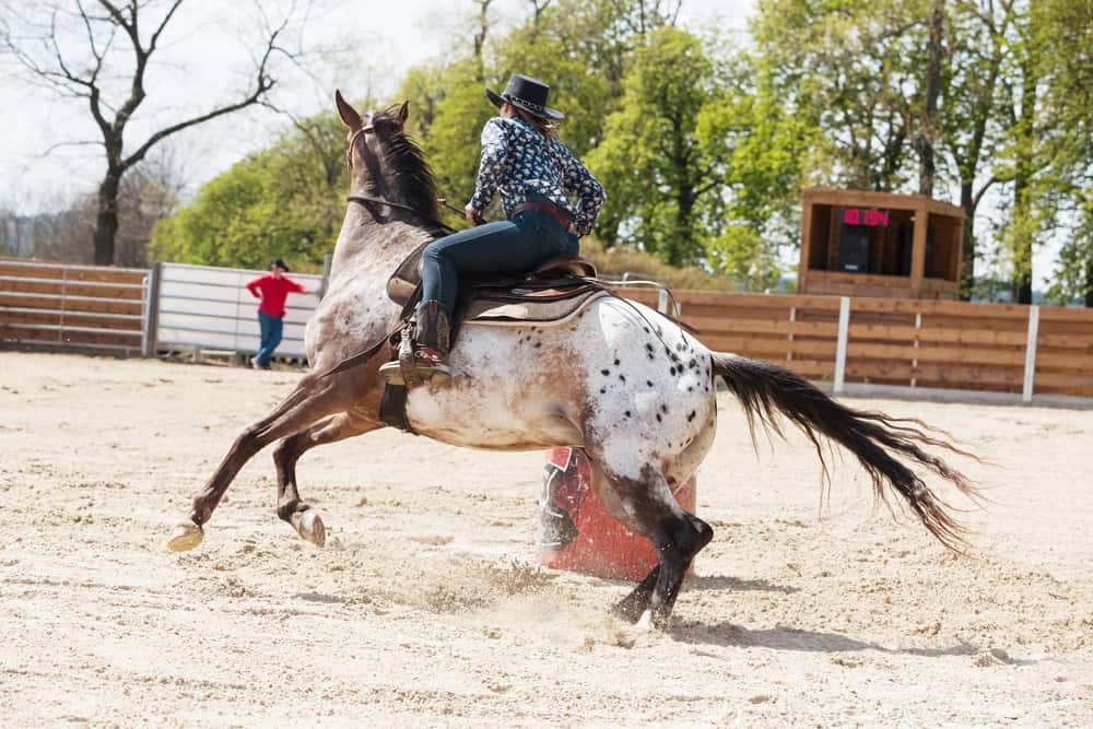 OMG! The Best Barrel Racing Events Guide Ever!