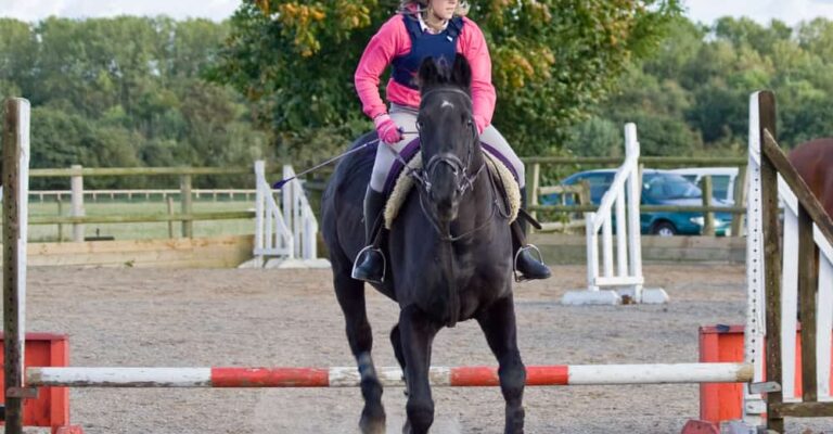 Equestrian body protector worn for riding safety