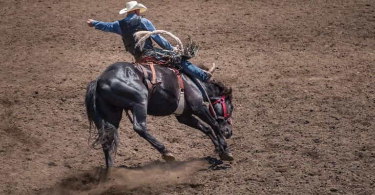 Black horse kicking out while a rider sits in a western saddle in a dirt arena