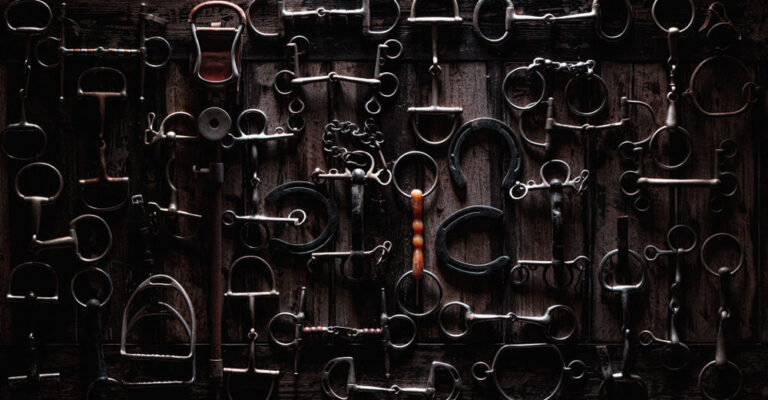 Collection of horse bits and other tack arranged on a dark wooden background