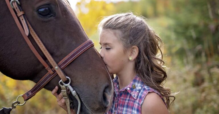 Horse showing relaxed affection by resting its muzzle near a person