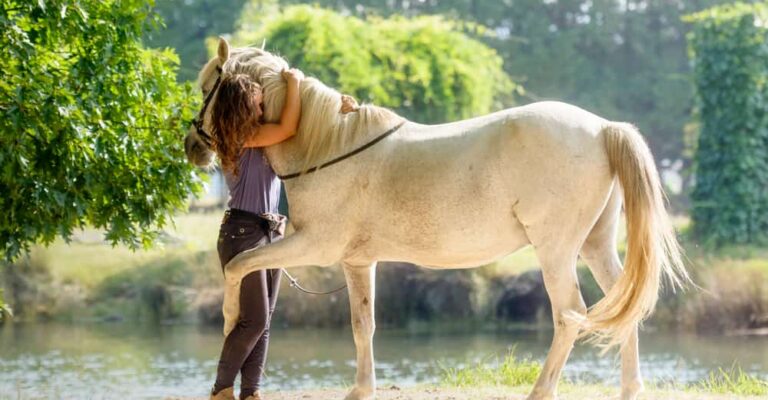 Horse standing quietly beside a person during grooming