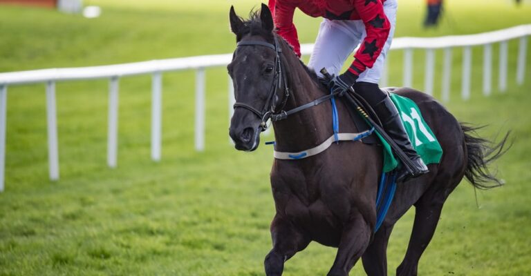 Jockey riding a racehorse on a dirt track