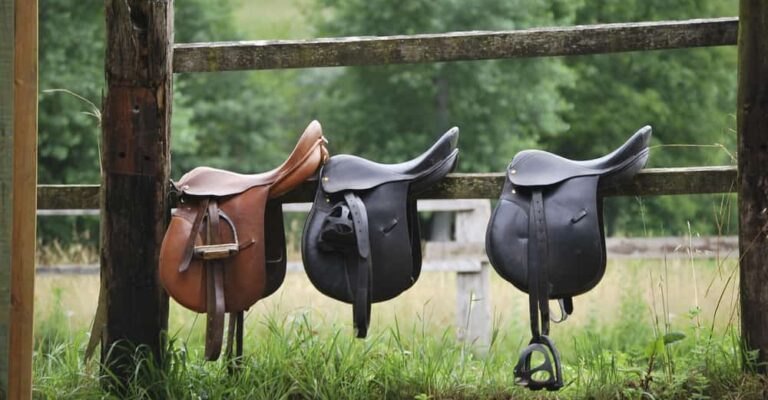 Synthetic vegan horse-riding saddle and tack in an equipment guide