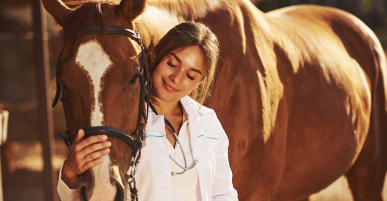 Veterinarian standing beside a chestnut horse in a stable