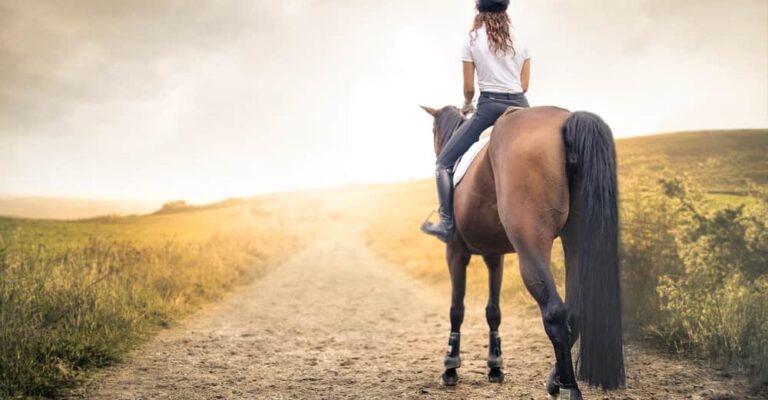 Rider on a brown horse along a country path at sunset