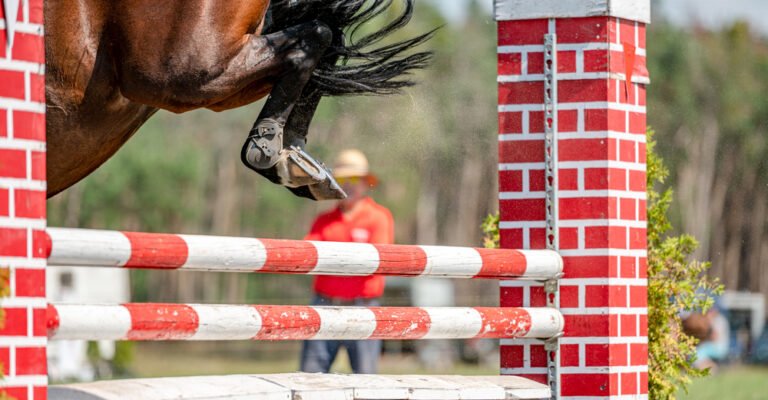 Horse jumping over a red-and-white vertical fence during a show-jumping course