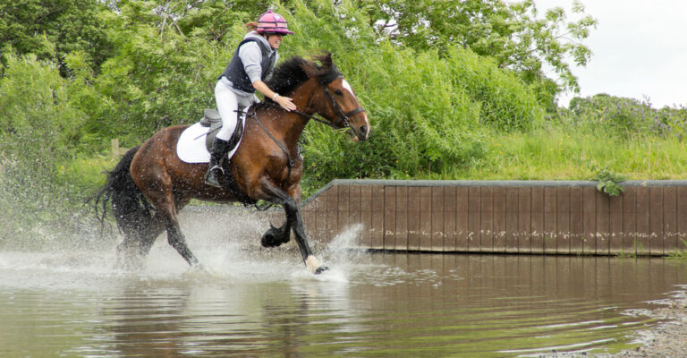 Horse drinking from a water trough on a farm