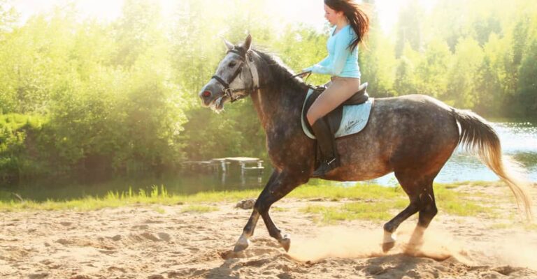 Horse carrying a rider in a correctly fitted saddle