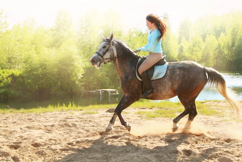 how-much-weight-can-a-horse-comfortably-carry-gegu-pet