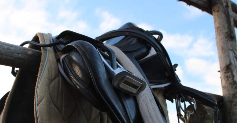 Western and English saddles compared for different riding disciplines