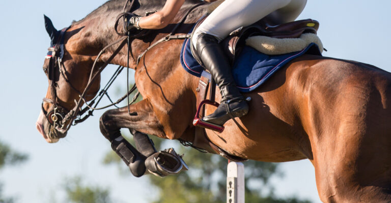 Horse and rider receiving instruction during a show-jumping clinic