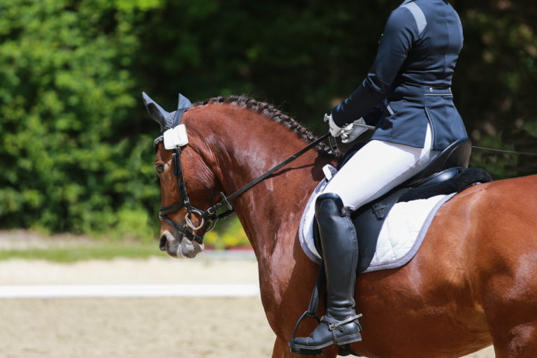 what-is-dressage-riding-a-comprehensive-guide-equestrian-space