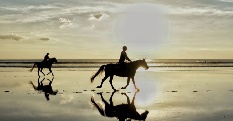 Horse and rider silhouetted against the evening sunset during a calm ride