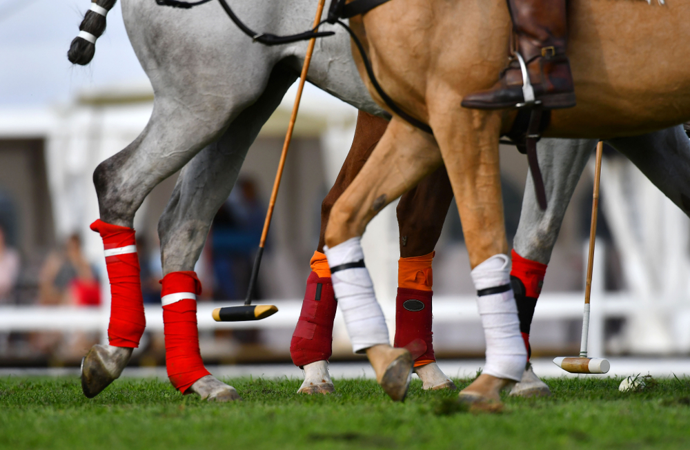 horse bandages for travel