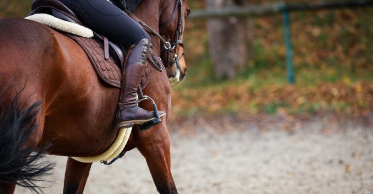 Traditional dressage stirrups attached to a saddle for balanced rider support