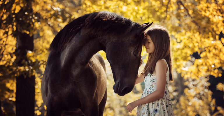 Horse responding to its name during training
