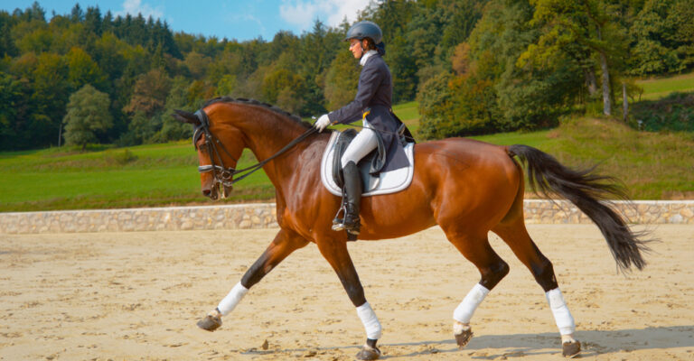 Rider practicing flatwork with a horse in an arena