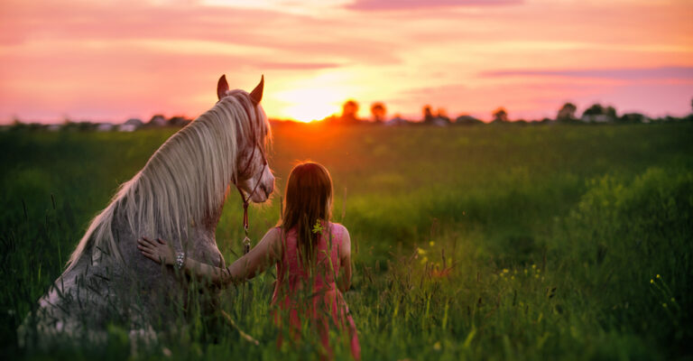Horse standing calmly during a human–horse interaction