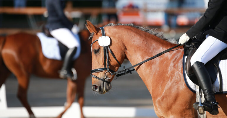 English rider using a draw rein during flatwork