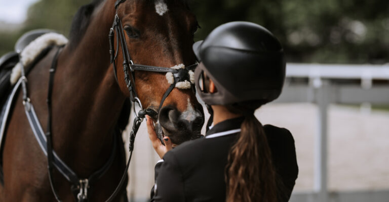 Rider in a black equestrian helmet handling a dark bay horse in an arena