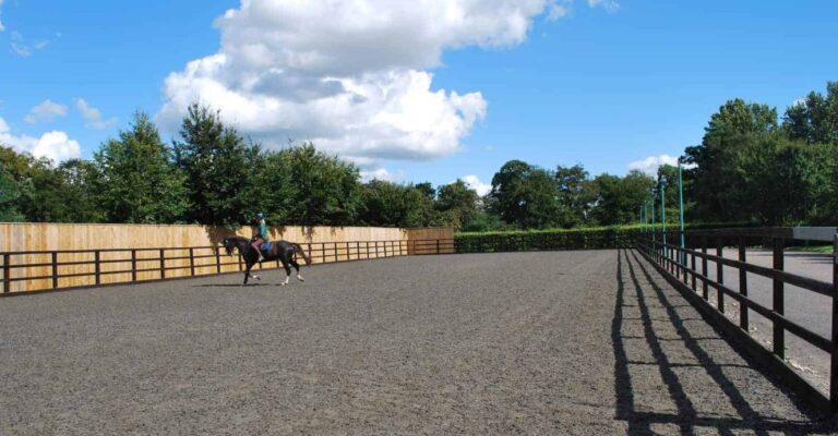 Rubber horse arena footing installed in an outdoor arena