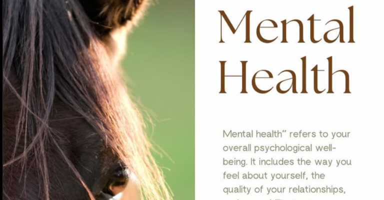 Illustrated rider on a horse with equine therapy benefits including confidence and social skills