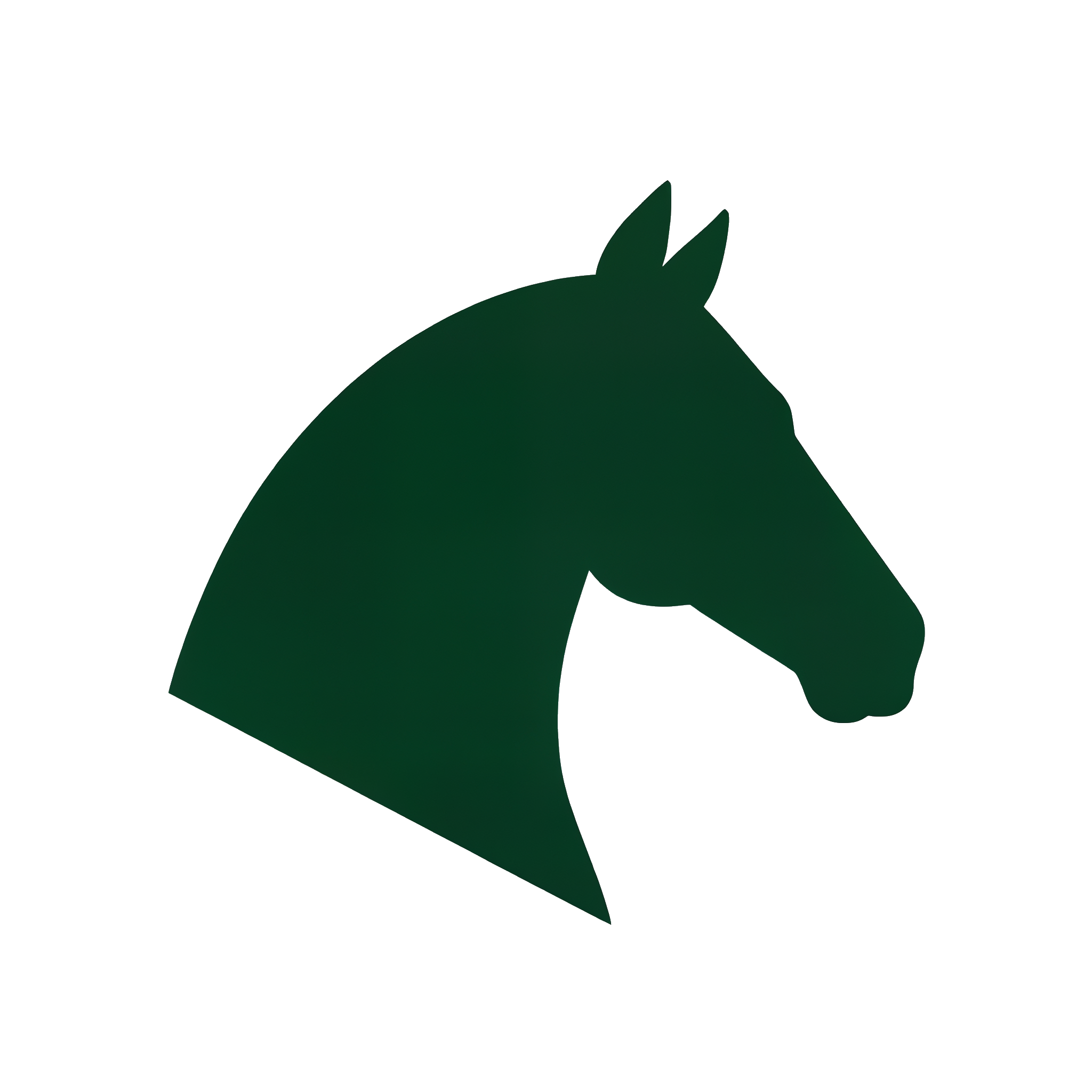 Equestrian Space
